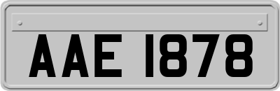 AAE1878