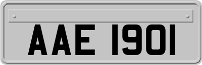 AAE1901