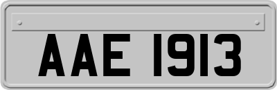 AAE1913