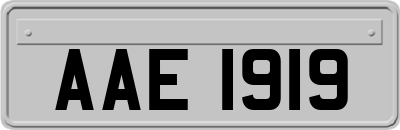 AAE1919