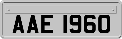 AAE1960