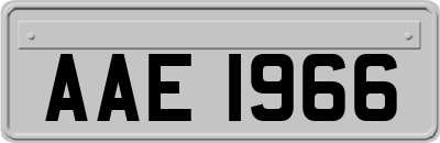 AAE1966