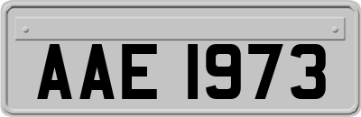 AAE1973