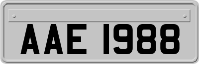 AAE1988