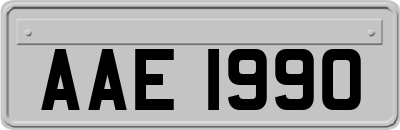 AAE1990