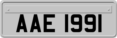 AAE1991