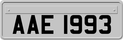 AAE1993