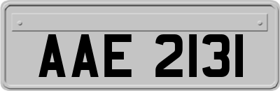 AAE2131