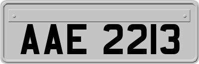 AAE2213