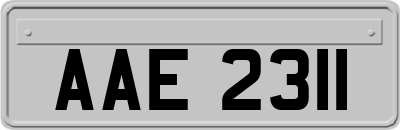 AAE2311