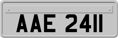 AAE2411