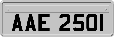 AAE2501