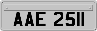 AAE2511