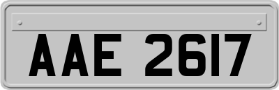 AAE2617