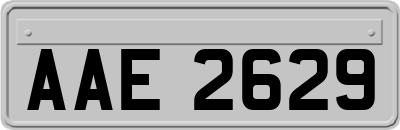 AAE2629