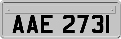 AAE2731