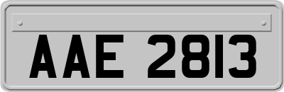 AAE2813