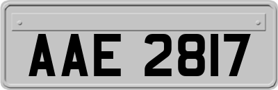 AAE2817