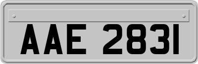 AAE2831