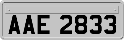 AAE2833