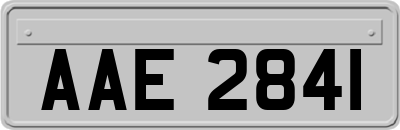 AAE2841