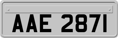 AAE2871