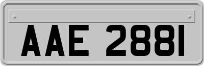 AAE2881