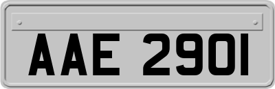 AAE2901