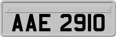 AAE2910