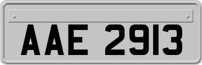 AAE2913