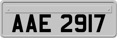 AAE2917