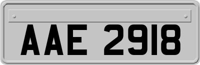 AAE2918