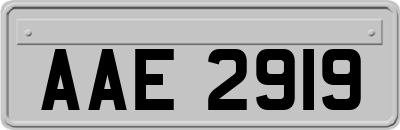 AAE2919