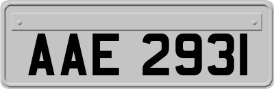 AAE2931