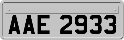 AAE2933