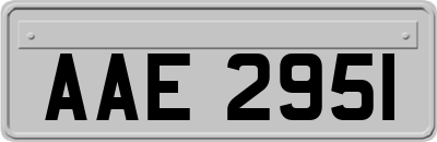 AAE2951