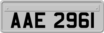 AAE2961