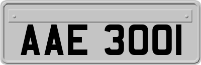 AAE3001