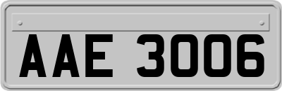 AAE3006