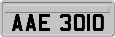 AAE3010