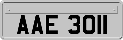 AAE3011