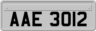 AAE3012