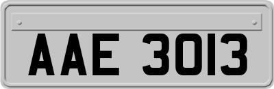 AAE3013