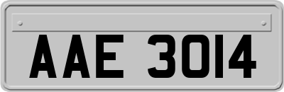 AAE3014