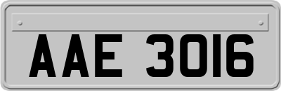 AAE3016