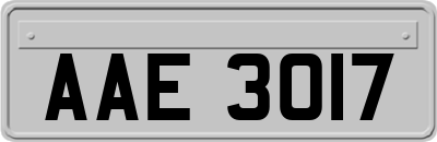 AAE3017