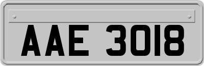 AAE3018