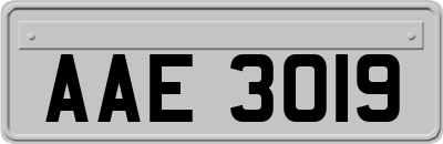 AAE3019