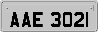 AAE3021