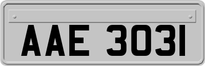 AAE3031